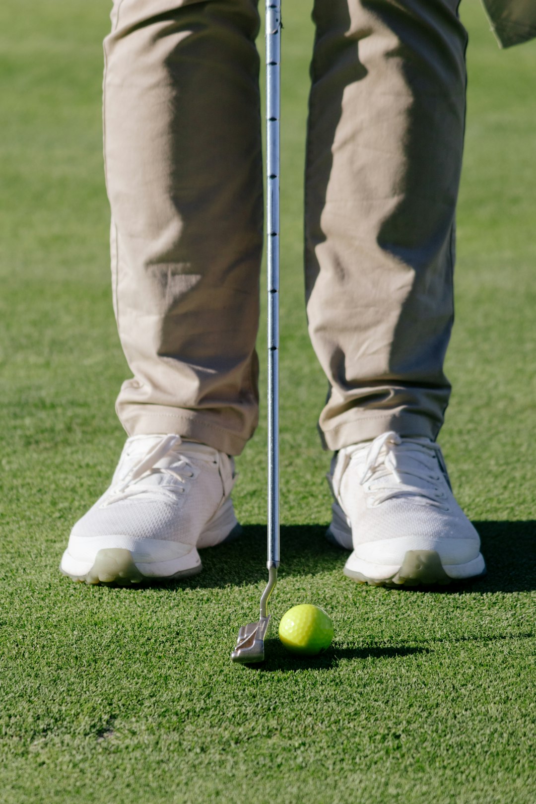 Alt text for the image