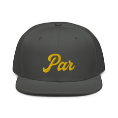Par Snapback Hat